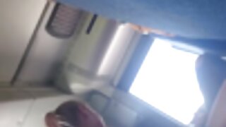 ಸಿಸಿಲಿಯಾ ಸ್ಕಾಟ್ ವೀರ್ ...